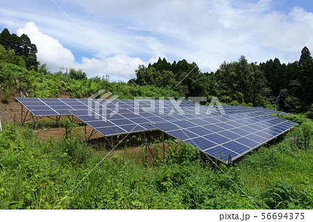 雑草に囲まれた太陽光発電所 雑草に囲まれた太陽光発電所 56694375