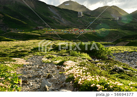 立山 56694377