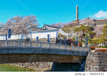 ■ 甲府城 ■ 舞鶴城公園 ■ 快晴 ■ 山梨県 ■ 桜満開 ■ 甲府城 ■ 舞鶴城公園 ■ 快晴 ■ 山梨県 ■ 桜満開 56694453