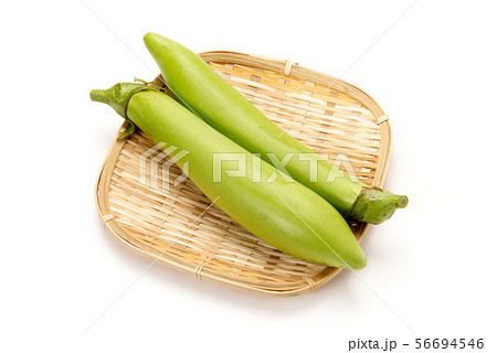 薩摩白長茄子 56694546