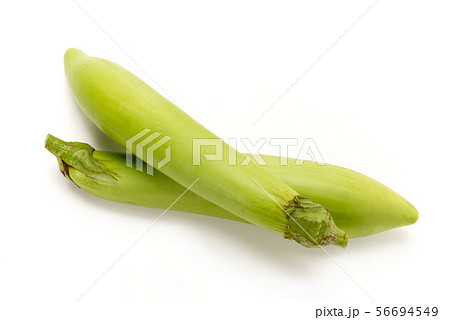 薩摩白長茄子 56694549