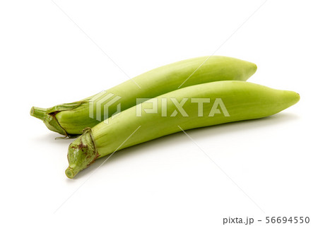 薩摩白長茄子 56694550