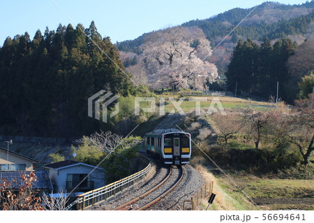 戸津辺の桜と水郡線（福島県・矢祭町） 56694641