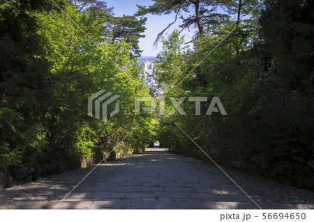 大年寺惣門001 大年寺惣門001 56694650