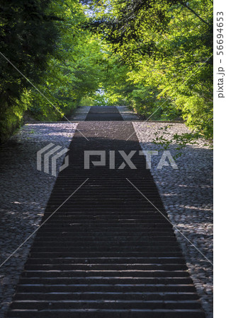 大年寺惣門004 大年寺惣門004 56694653