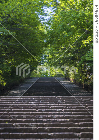 大年寺惣門005 大年寺惣門005 56694654