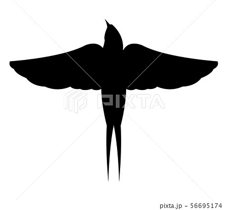 swallow icon 56695174