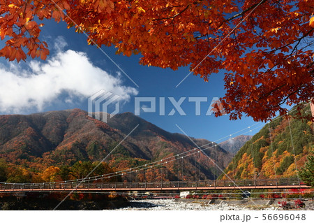 駒ケ根高原こまくさ橋と紅葉 駒ケ根高原こまくさ橋と紅葉 56696048