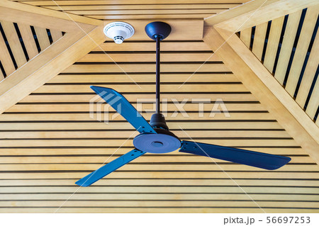 Electric ceiling fan decoration interior 56697253