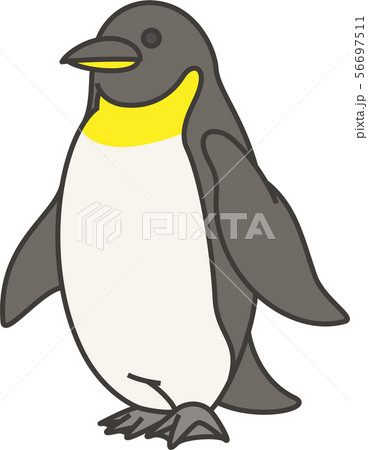 ペンギン 56697511