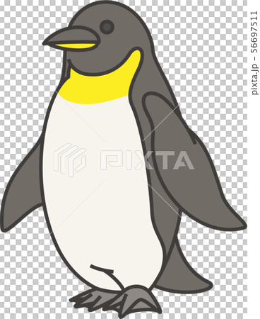 ペンギン 56697511