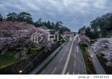 金沢城の桜 金沢城の桜 56698369