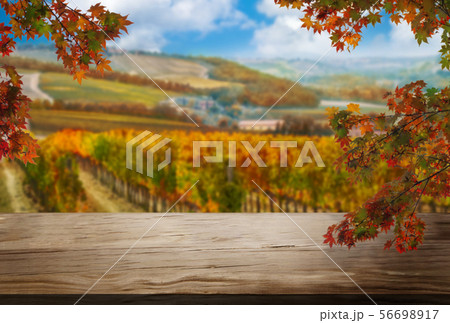 Wood table in autumn vineyard country landscape. 56698917