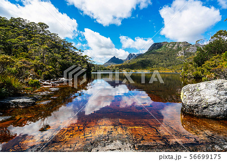 Cradle Mountain National Park, Tasmania, Australia Cradle Mountain National Park, Tasmania, Australia 56699175