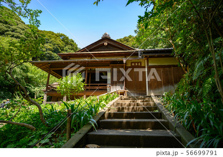 三渓園 月華殿 56699791