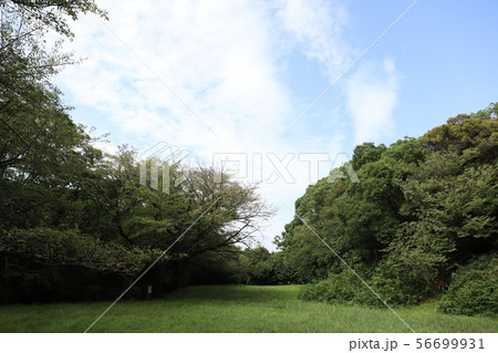 大高城址 大高城址 56699931