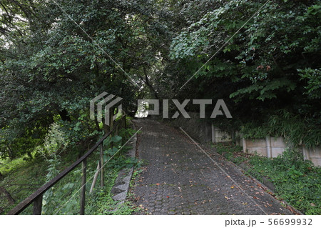 大高城址 大高城址 56699932