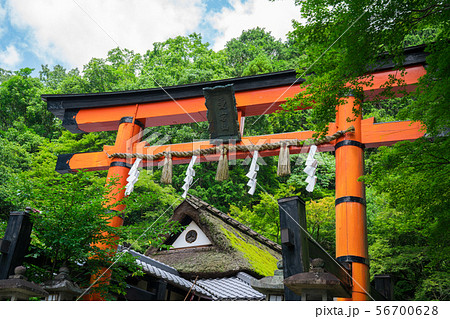 京都　嵯峨鳥居本　夏　　 56700628