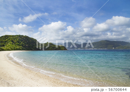 加計呂麻島　スリ浜 56700644