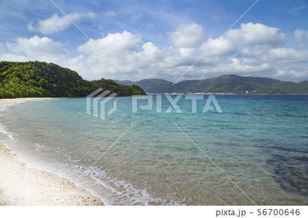 加計呂麻島 スリ浜 加計呂麻島 スリ浜 56700646