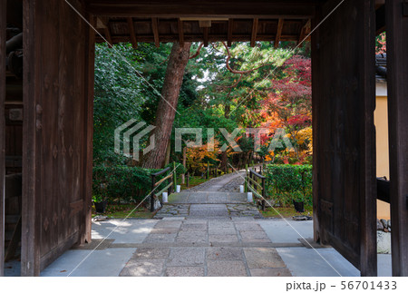 京都　鹿王院の紅葉 56701433