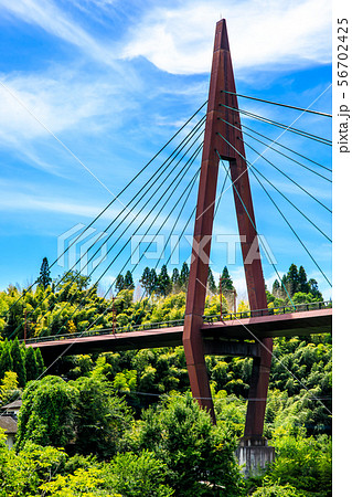 天領大橋 【大分県日田市】 天領大橋 【大分県日田市】 56702425