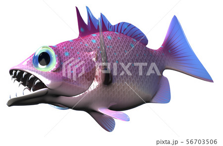 怪魚 56703506