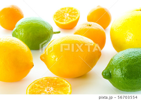 シトラスフルーツ　白背景 56703554