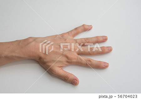 指先 56704023