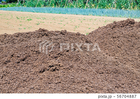 畑に詰まれた堆肥(牛糞) 56704887