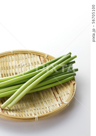 ニンニクの芽11 56705100