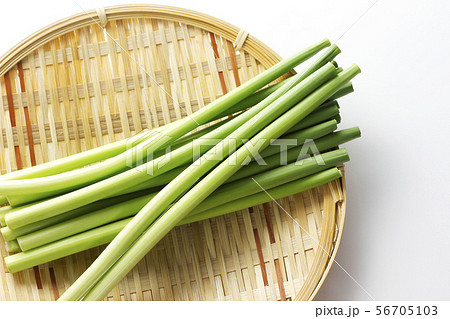 ニンニクの芽14 56705103