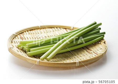 ニンニクの芽16 ニンニクの芽16 56705105