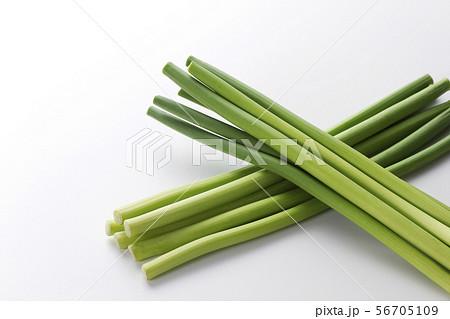 ニンニクの芽2 ニンニクの芽2 56705109
