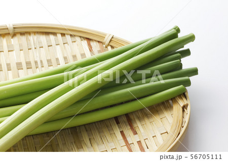 ニンニクの芽21 56705111