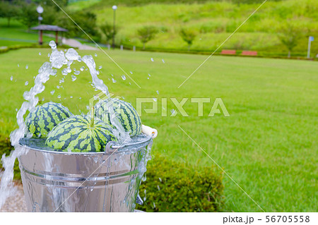 冷水で冷やしたスイカ 夏イメージ 冷水で冷やしたスイカ 夏イメージ 56705558