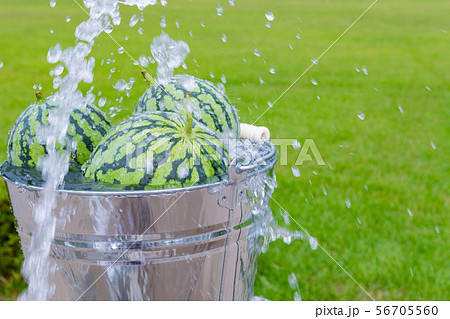 冷水で冷やしたスイカ　夏イメージ 56705560