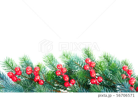 Christmas garland on white 56706571