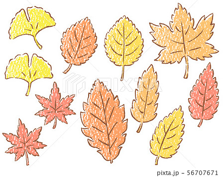 秋の紅葉の手描きイラストセット 色鉛筆風 のイラスト素材