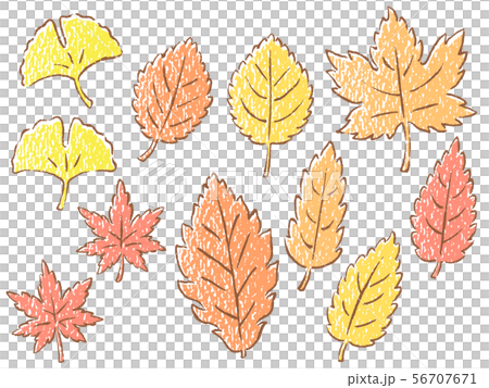 Hand Drawn Illustration Set Of Autumn Leaves Stock Illustration