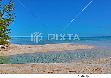 海 海 56707807
