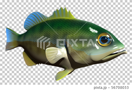 ブラックバス ブラックバス 56708033