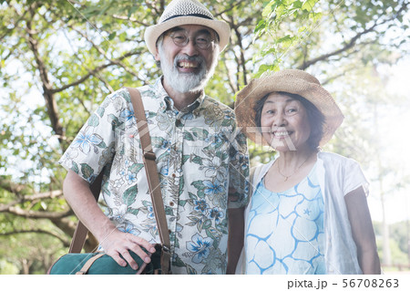 シニア夫婦 国内旅行 夏休み 木漏れ日 56708263