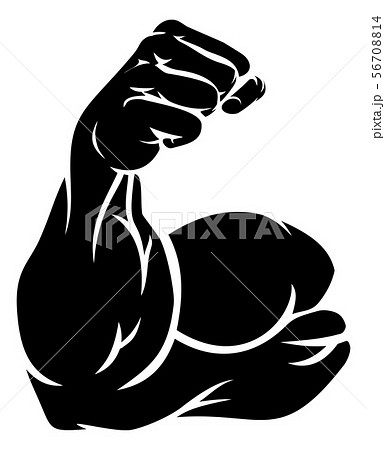 Strong Arm Showing Biceps Muscle 56708814