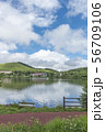 白樺湖 56709106