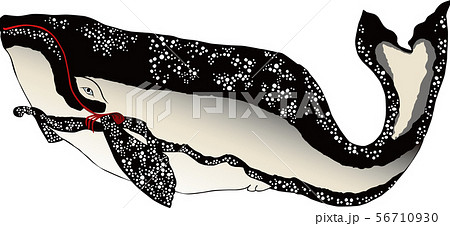 浮世絵 鯨 その1のイラスト素材