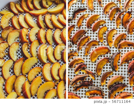 Peaches dried in a dehydrator dryer. A way to 56711164