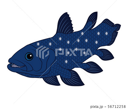 Coelacanth Deep Sea Fish Character Illustration Stock Illustration