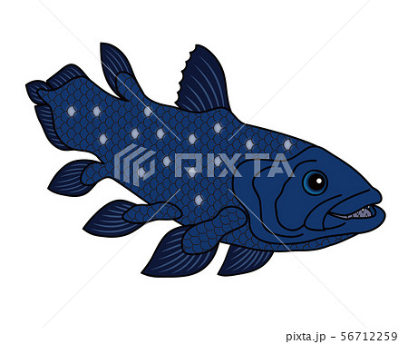 シーラカンス 深海魚 キャラクター イラスト クリップアートのイラスト