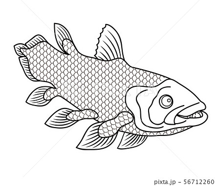 シーラカンス 深海魚 キャラクター ぬりえ イラスト クリップアートの